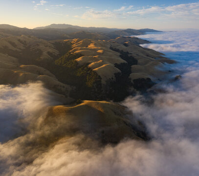 Morning fog in golden rolling hills, Central California, USA