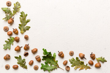 Fototapeta na wymiar Branch with green oak tree leaves and acorns on colored background, close up top view