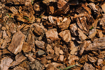 Background, texture of brown peeled bark. Photography of nature.