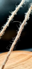 Brown jute isolated closeup. Natural brown rope. Rope isolated closeup.