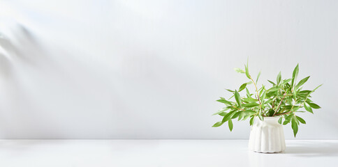Branches with green leaves in a vase and shadows on a white table. Mock up for displaying works
