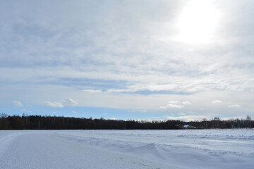 Winter landscape with cloudy sky, snowy field and forest on the horizon.