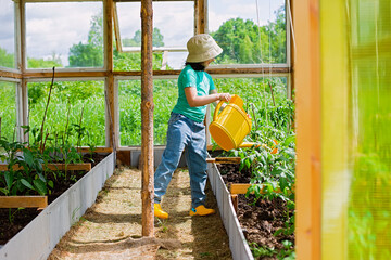A one little girl waters with a yellow watering can, tomato bushes in greenhouse