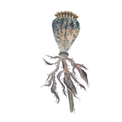 Cupola watercolour on white stock vector illustration for web, for print