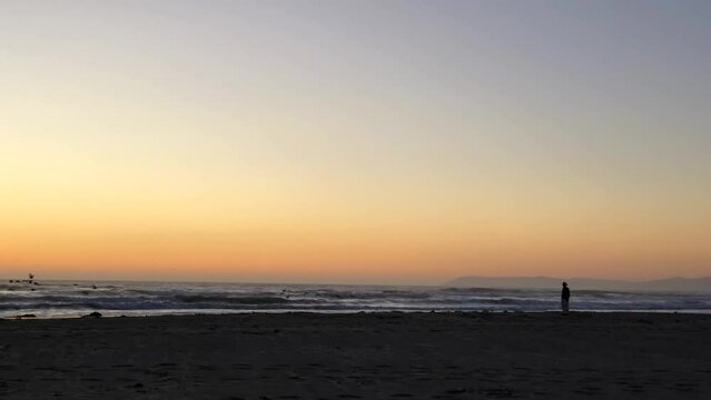 Silhouette of an old man in a cowboy hat on the ocean beach at sunset. A man walks along the ocean, stops and looks at the waves and and flying birds. Pacific Ocean.