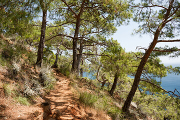 Picturesque spring landscape. Tourist trail through coniferous forest along sea coast. popular hiking route along Mediterranean coast along Lycian Way. Turkey, Antalya, Kemer
