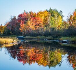 autumn foliage and trees reflected in water