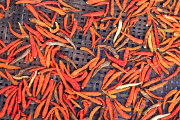 Dried chilies are placed in a wooden sieve.