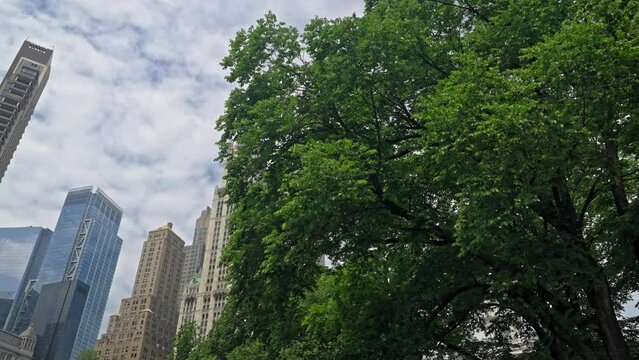 New York Skyline With Rockefeller Plaza And The Woolworth Building