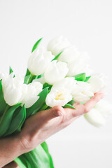 The hand of a young Caucasian woman with a delicate French manicure holds a bouquet of white tulips.