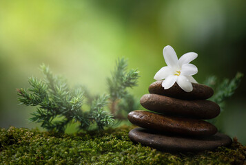 Zen stone and tuberose flowers on nature background.