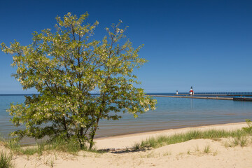 Sand beach and beachgrass with St. Joseph North Pier Inner Lighthouse and St. Joseph North Pierhead Outer Lighthouse, Michigan in background