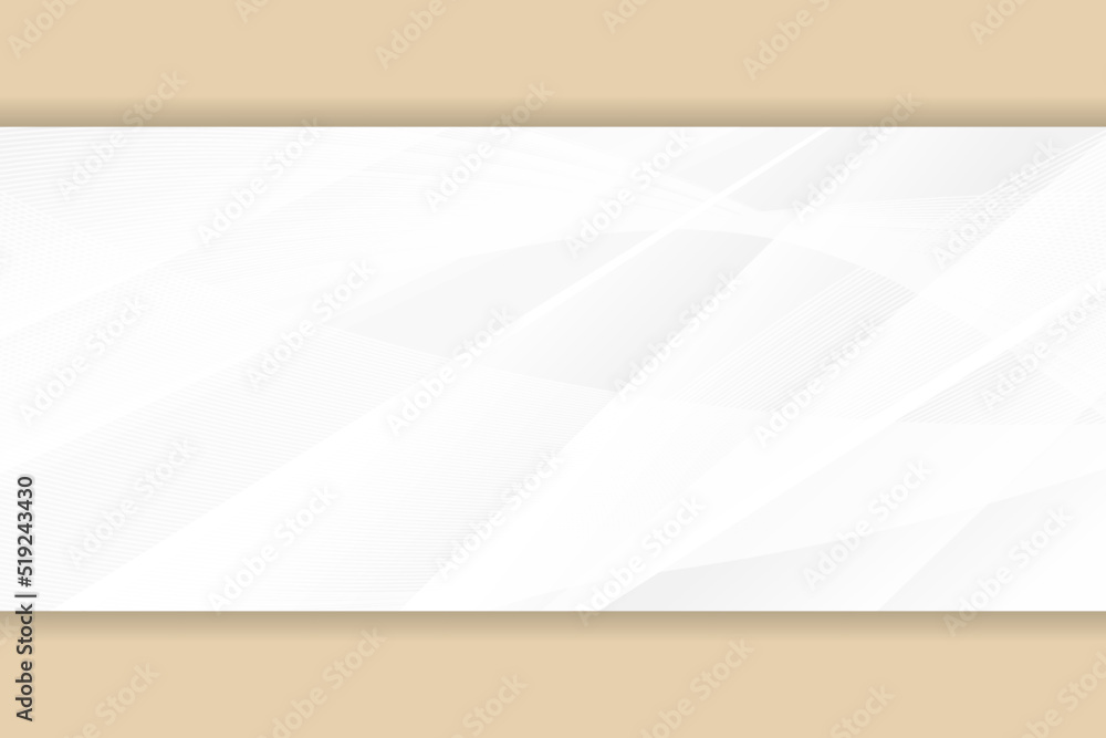 Poster abstract white and grey on light silver background modern design with transparency blend line patter