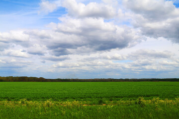 Fototapeta na wymiar landscape rural overcast clouds cloudscape grassland green field farmland countryside weather sky