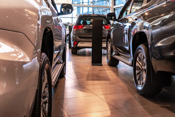 Brand new cars at the dealer showroom