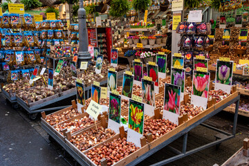 Traditional flower market in Amsterdam downtown, Netherlands