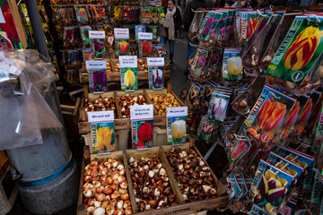 Traditional flower market in Amsterdam downtown, Netherlands
