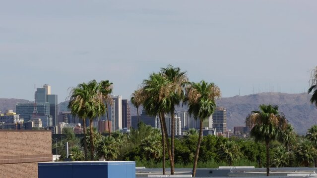 Phoenix Arizona City Skyline Palm Trees
