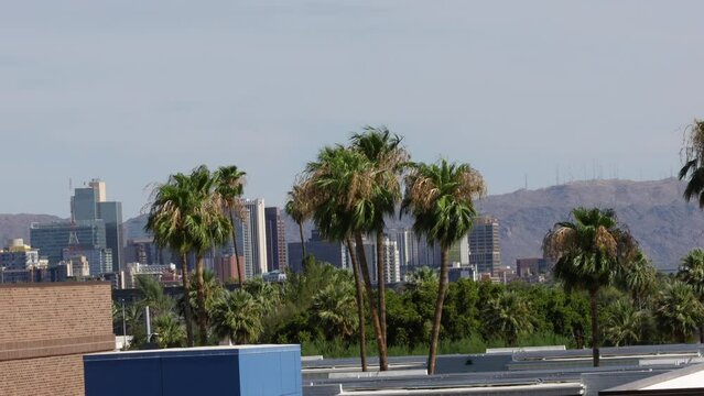 Phoenix Arizona City Skyline Palm Trees