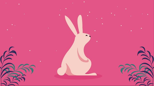 cute rabbit in garden animation