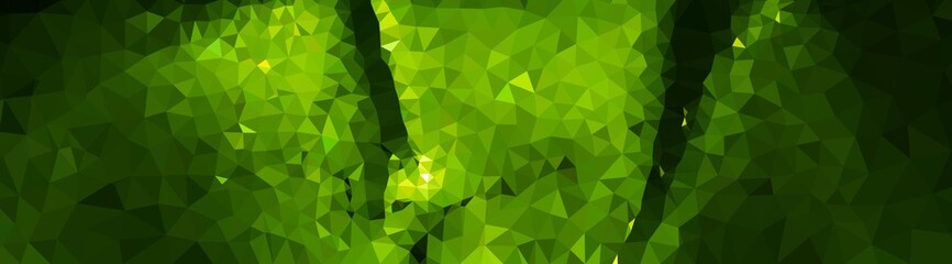 Abstract green texture with line