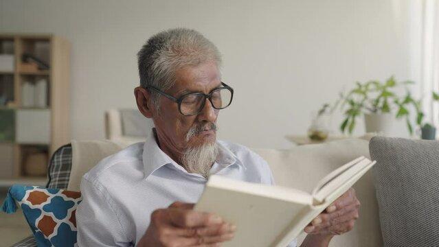 Asian senior older man with grey hair reading book  at home, knowledge  in retirement,  Book lover