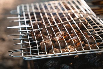 Grill is used at a picnic to prepare meat on it