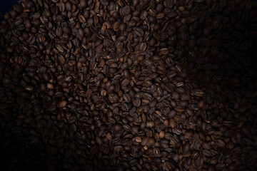 Granos de Café cosechados 