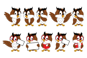 cute owl animal cartoon graphic
