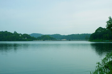 Neyyar dam inside the forest view 