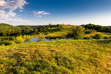Fields in a rural landscape in an early summer evening, Ohio © Richard