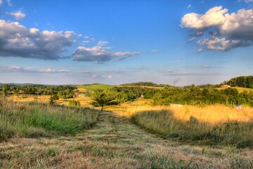 Fields in a rural landscape in an early summer evening, Ohio