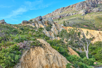 Landscape of a mountain with green plants and foliage in South Africa on a sunny day. Rocky hills with greenery against a blue sky. Beautiful remote nature scene in popular adventure hiking location