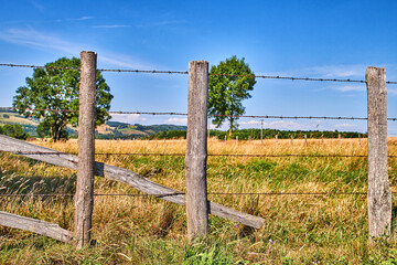 Farming agriculture field with copy space on blue sky. Overgrown grass in fenced isolated farming...