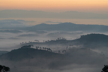 Misty moving landscape with shadow of tree in panorama view, Heaven on earth at sunrise