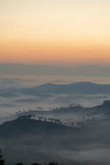 Misty landscape with shadow of forest in panorama view, Heaven on earth at sunrise