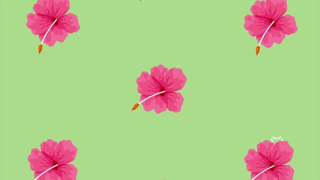 pink tropical flowers pattern