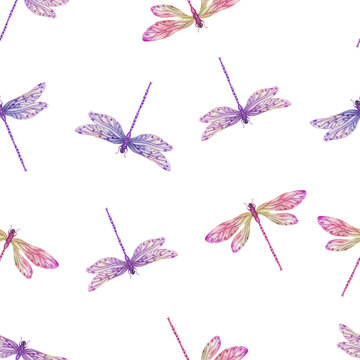 Vector de libelulas