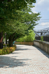 公園　道　散策