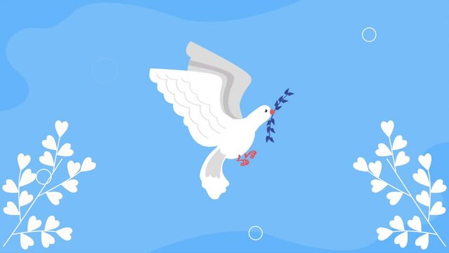 peace dove bird flying animation