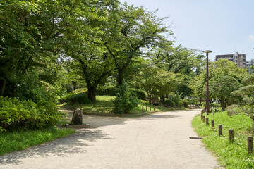 公園　道　散策