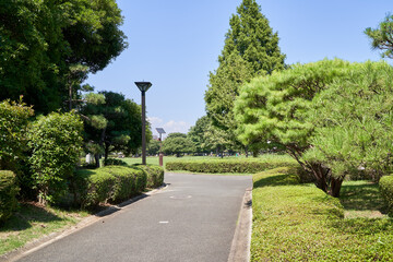 公園　道　散策