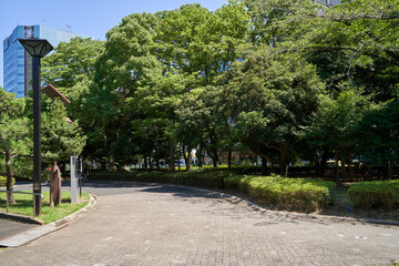 公園　道　散策