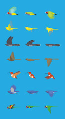 Various Bird Flying Sequence Cute Cartoon Vector Illustration Finch Canary Cuckoo Nightingale Hummingbird Bluebird Parrot