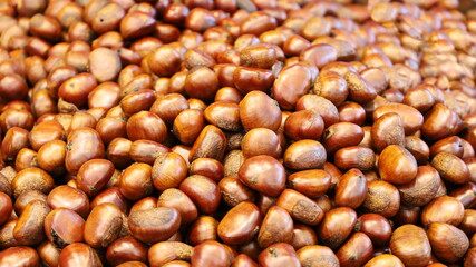 Chestnut background. Bright brown chestnut clusters above with copy space. Selective focus
