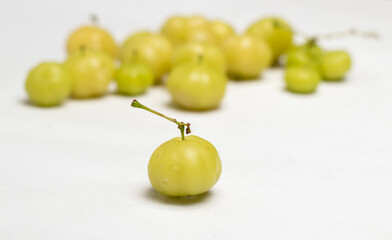 Orboroi High Resolution Stock Photography and Images, Phyllanthus acidus