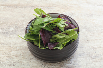 Vegetarian mix green vitamin salad