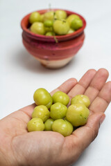 Orboroi High Resolution Stock Photography and Images, Phyllanthus acidus