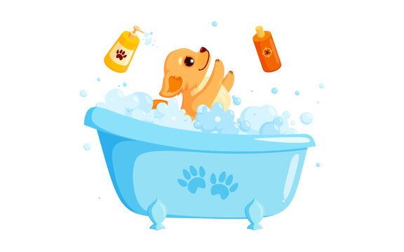 Dog grooming in a bath with pet shampoo. Playful chihuahua puppy in grooming service. Vector illustration in cute cartoon style