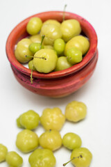Orboroi High Resolution Stock Photography and Images, Phyllanthus acidus